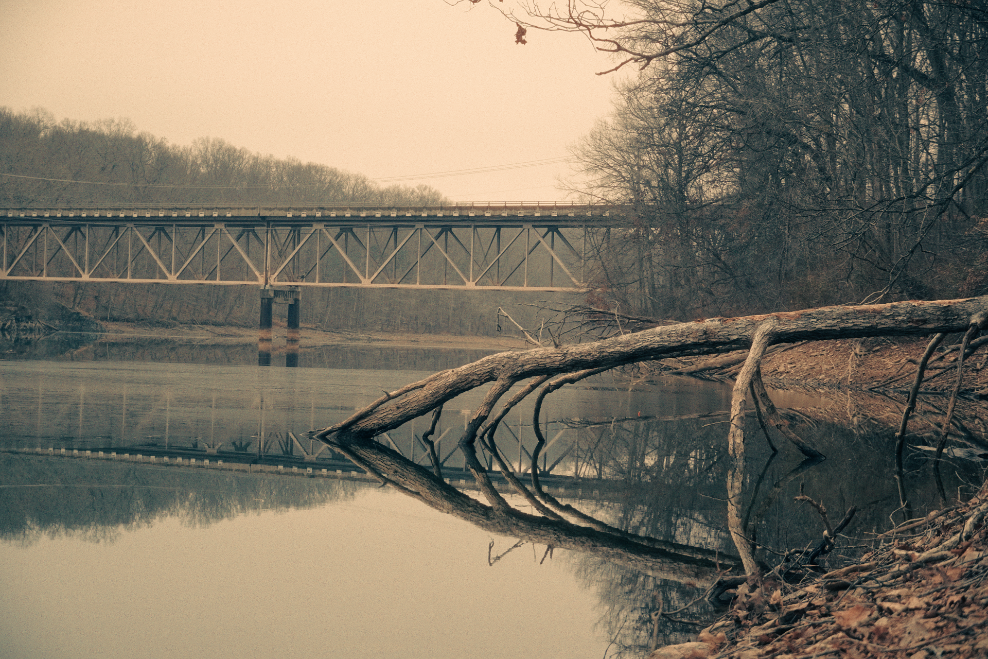 Still 2026-01-10 120845_1.5.1.png