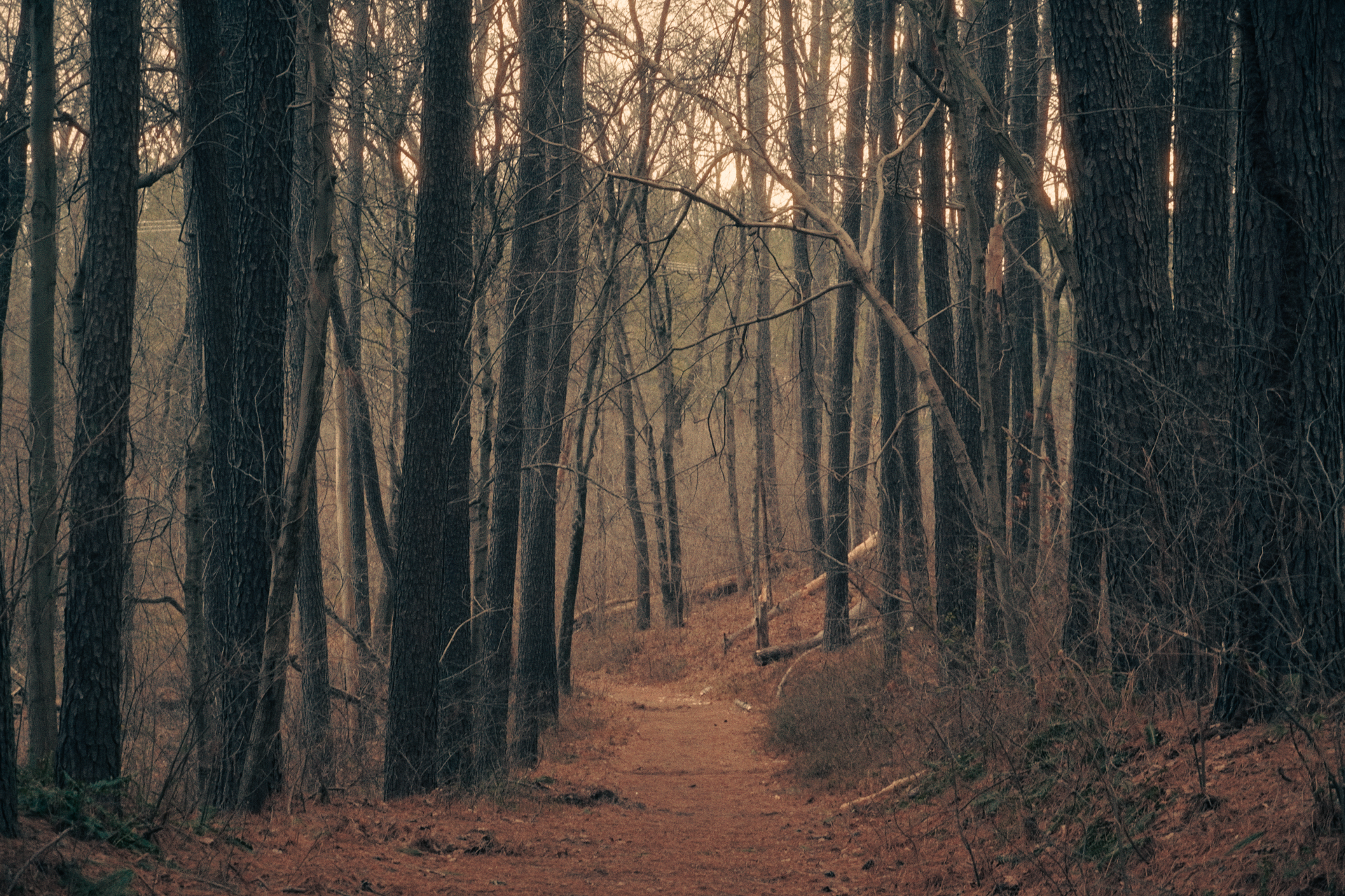 Still 2026-01-10 120845_1.9.1.png