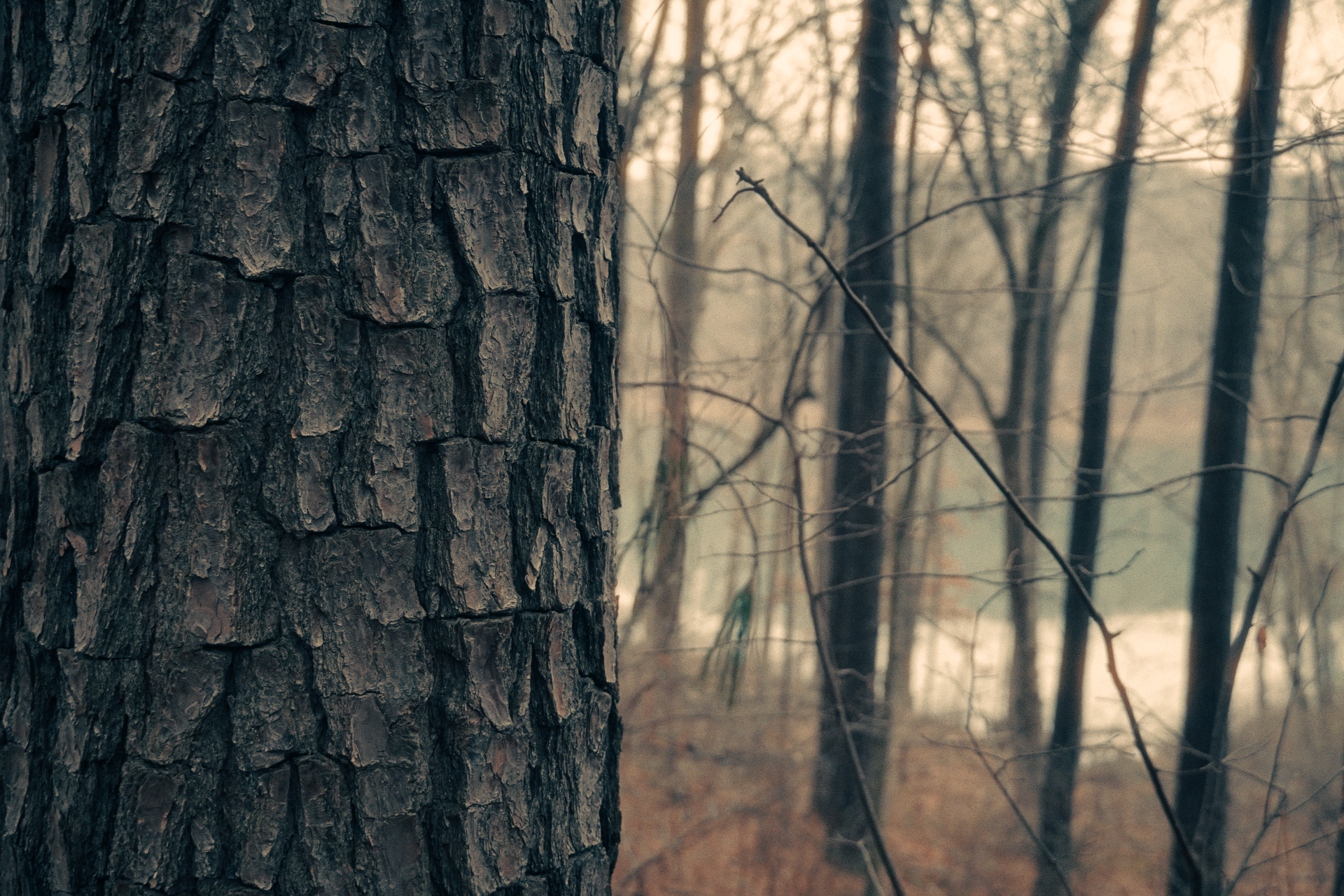 Still 2026-01-10 120845_1.3.1.png