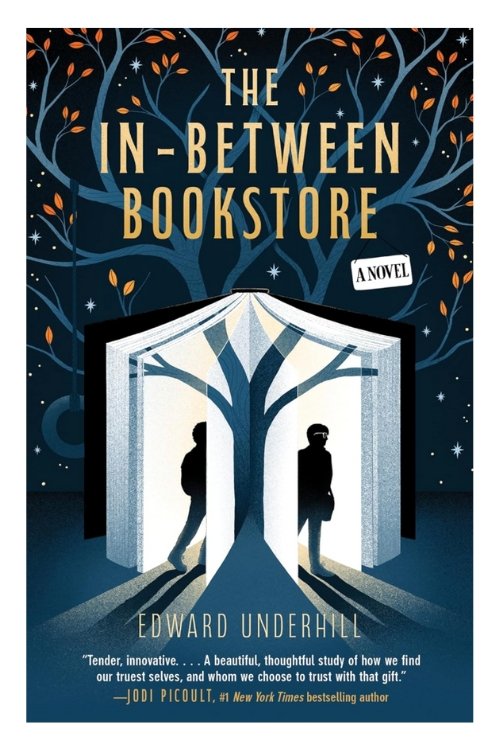 Book cover of The In-Between Bookstore by Edward Underhill. Illustration shows two people entering a lit room in which a tree is growing out of the roof.
