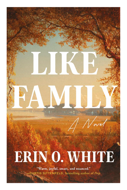 Book cover of Like Family by Erin O. White