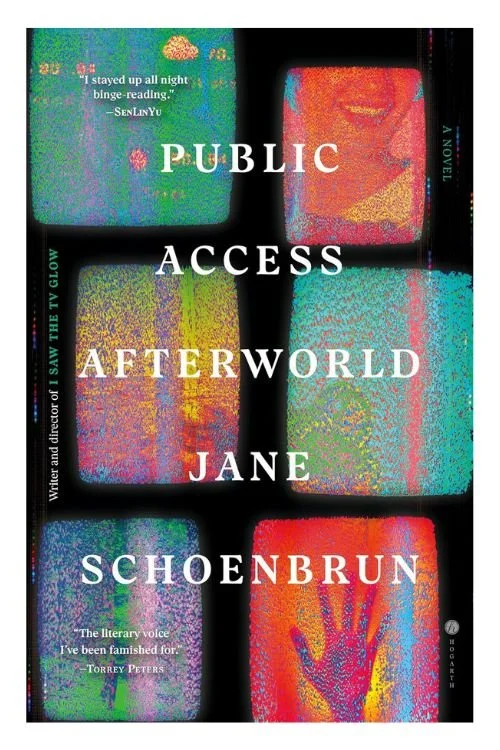 Book cover of Public Access Afterworld by Jane Schoenbrun