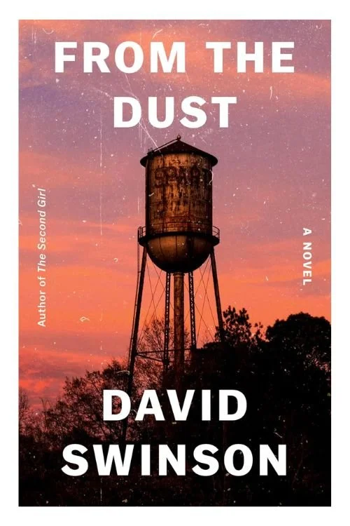 Book cover of From the Dust by David Swinson