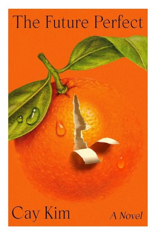 Book cover of The Future Perfect by Cay Kim