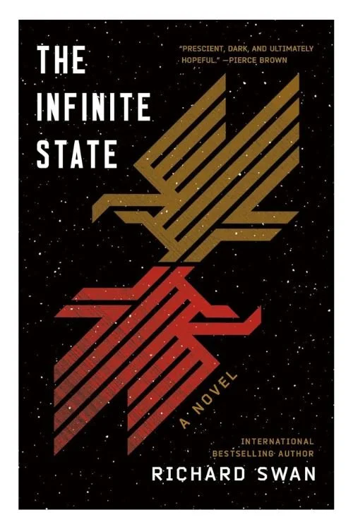 Book cover of The Infinite State by Richard Swan