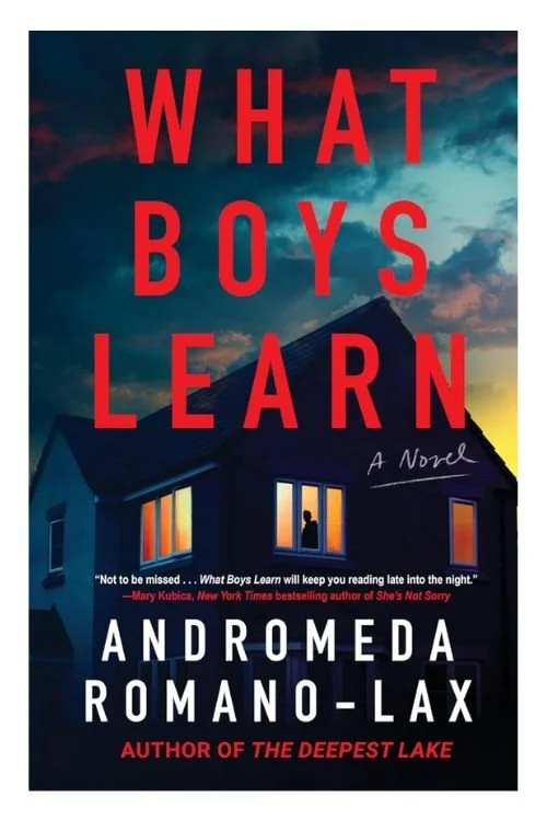 Book cover of What Boys Learn by Andromeda Romano-Lax