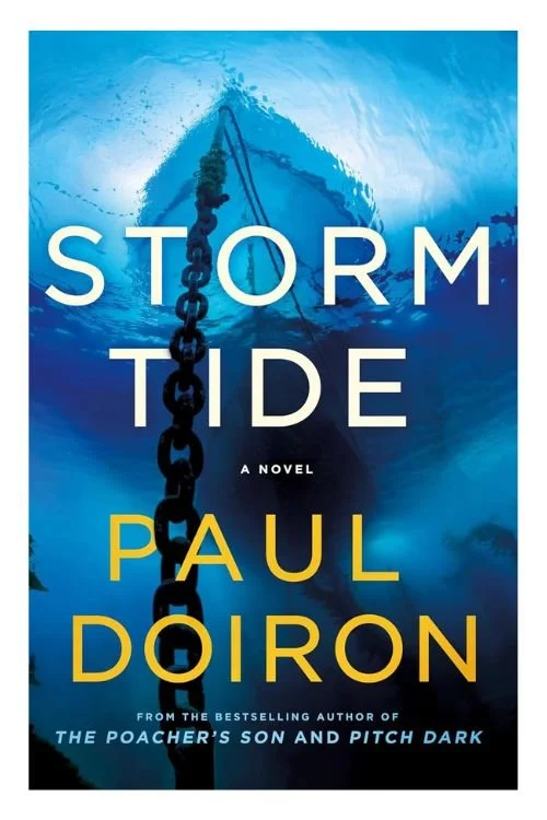 Book cover of Storm Tide by Paul Doiron