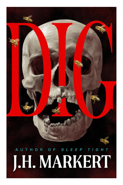 Book cover of Dig by J.H. Markert
