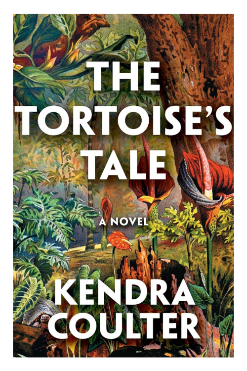 Book cover of The Tortoise's Tale by Kendra Coulter