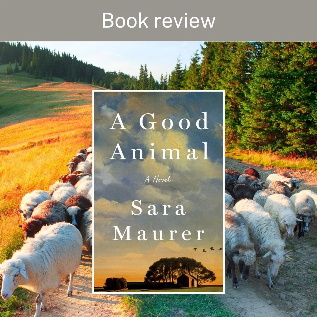 Book cover of A Good Animal by Sara Maurer