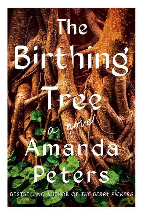 Book cover of The Birthing Tree by Amanda Peters