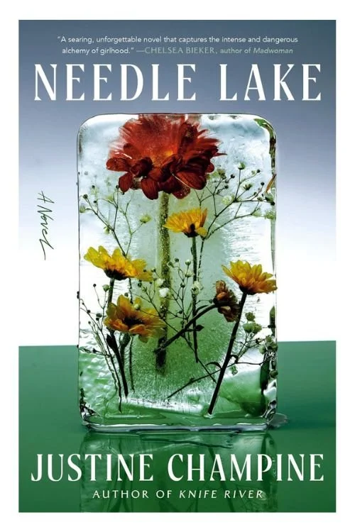 Book cover of Needle Lake by Justine Champine