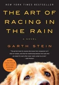 Book cover of The Art of Racing in the Rain by Garth Stein