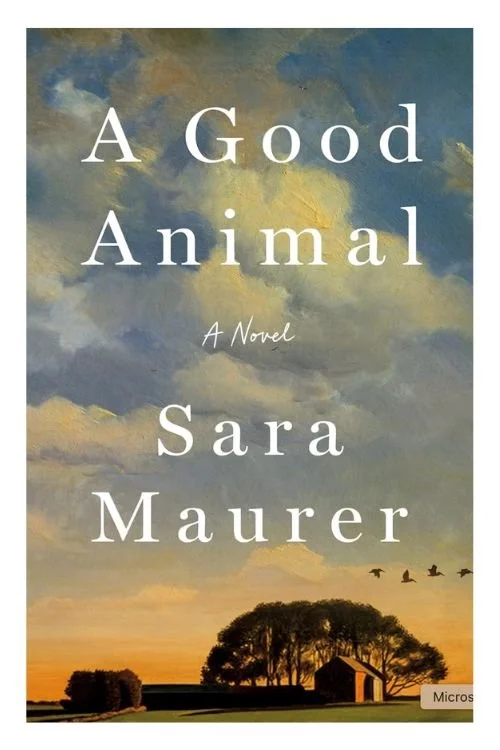 Book cover of A Good Animal by Sara Maurer