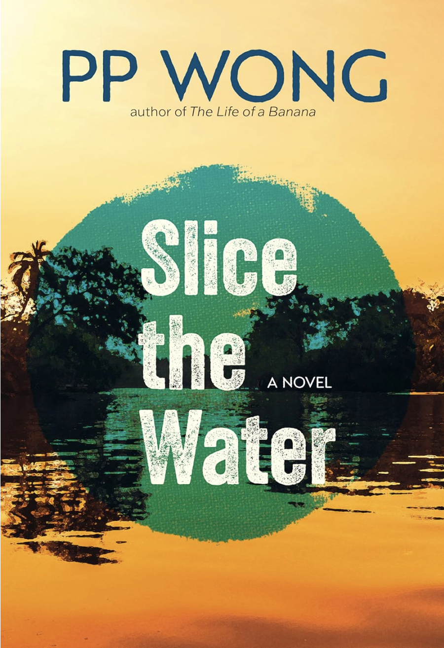Book cover of Slice the Water by PP Wong