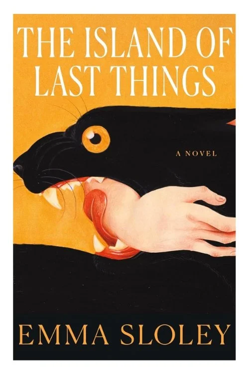 Book cover of The Island of Last Things by Emma Sloley