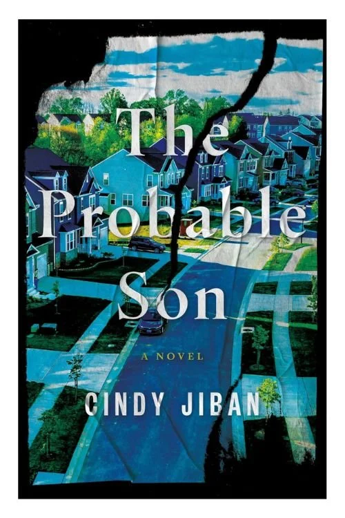 Book cover of The Probable Son by Cindy Jiban