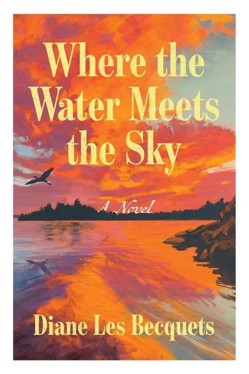 Book cover of Where the Water Meets the Sky by Diane Les Becquets