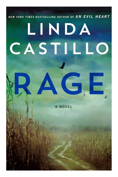 Book cover of Rage by Linda Castillo