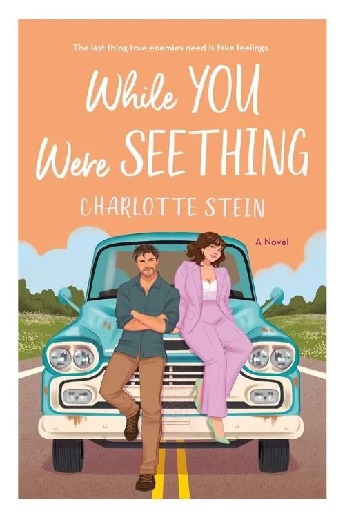 Book cover of While You Were Seething by Charlotte Stein