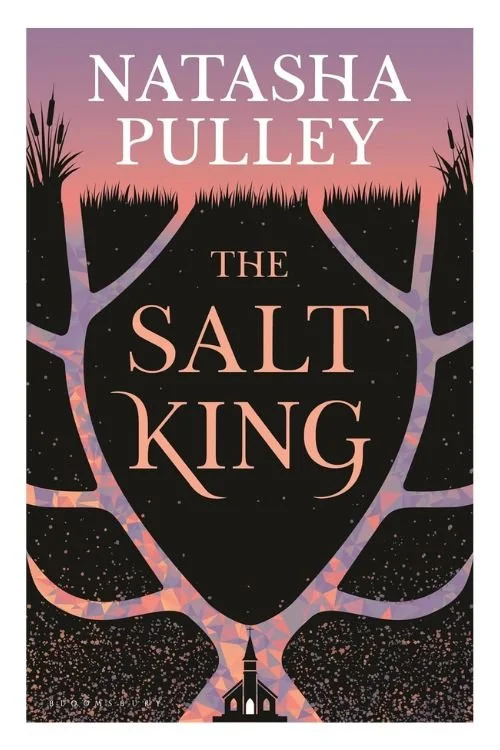 Book cover of The Salt King by Natasha Pulley