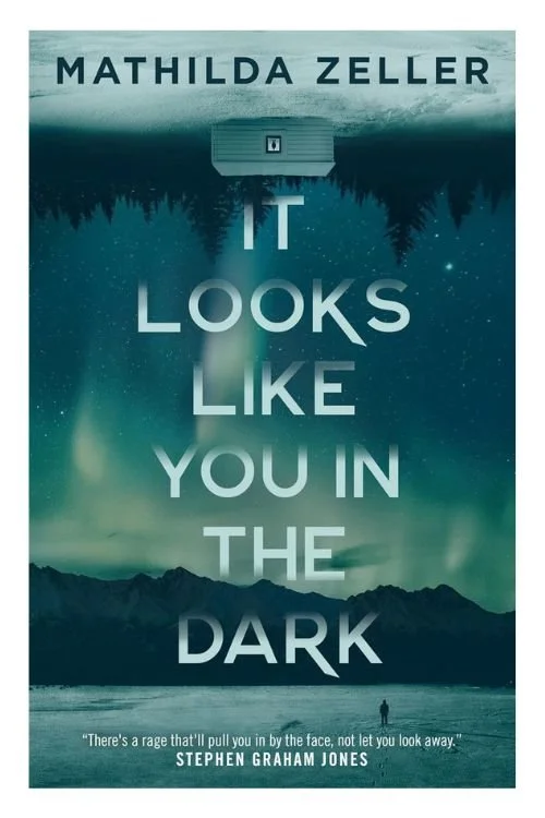 Book cover of It Looks Like You In The Dark by Mathilda Zeller