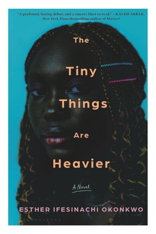 Book cover of The Tiny Things Are Heavier by Esther Ifesinachi Okonkwo