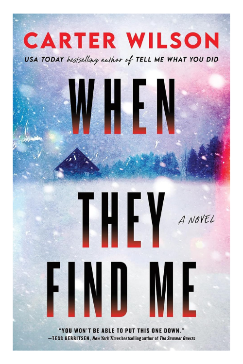 When They Find Me by Carter Wilson
