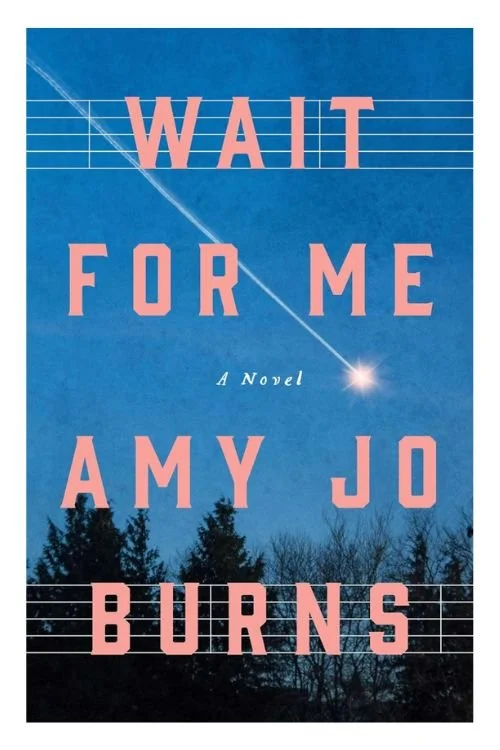 Book cover of Wait For Me by Amy Jo Burns