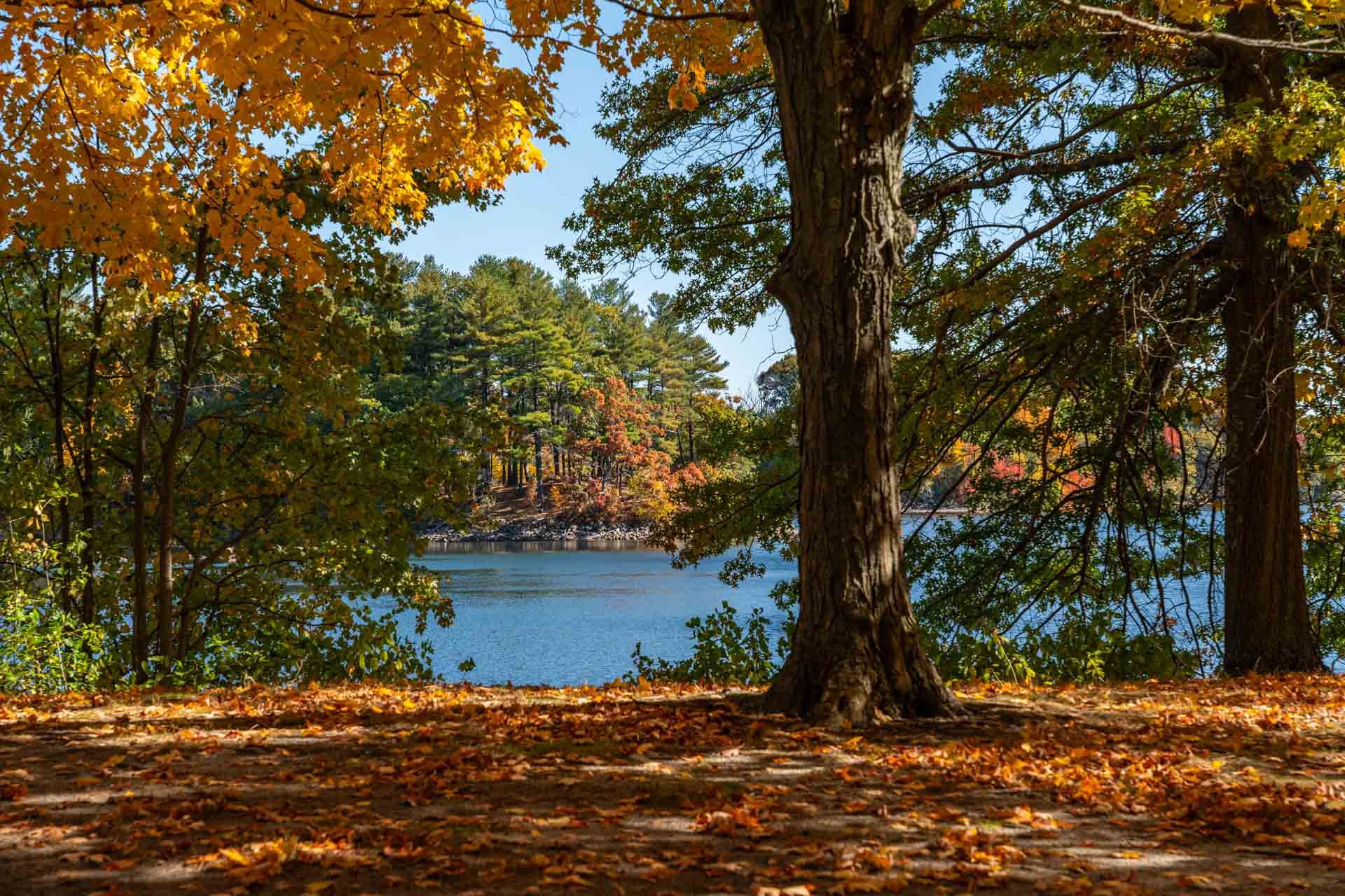Middlesex Fells Reservation