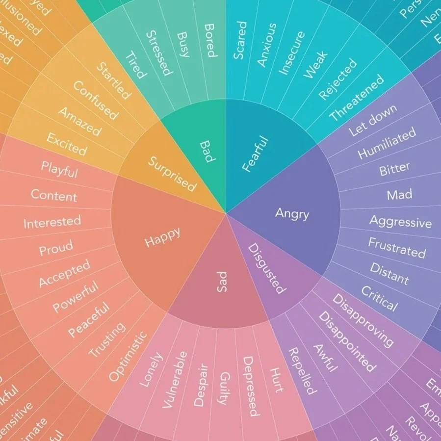 The Emotions Series: The Feelings Wheel