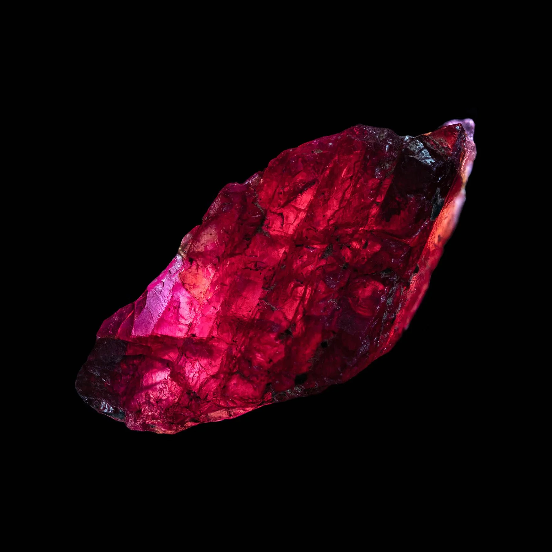 14. Jack Briggs-Miller