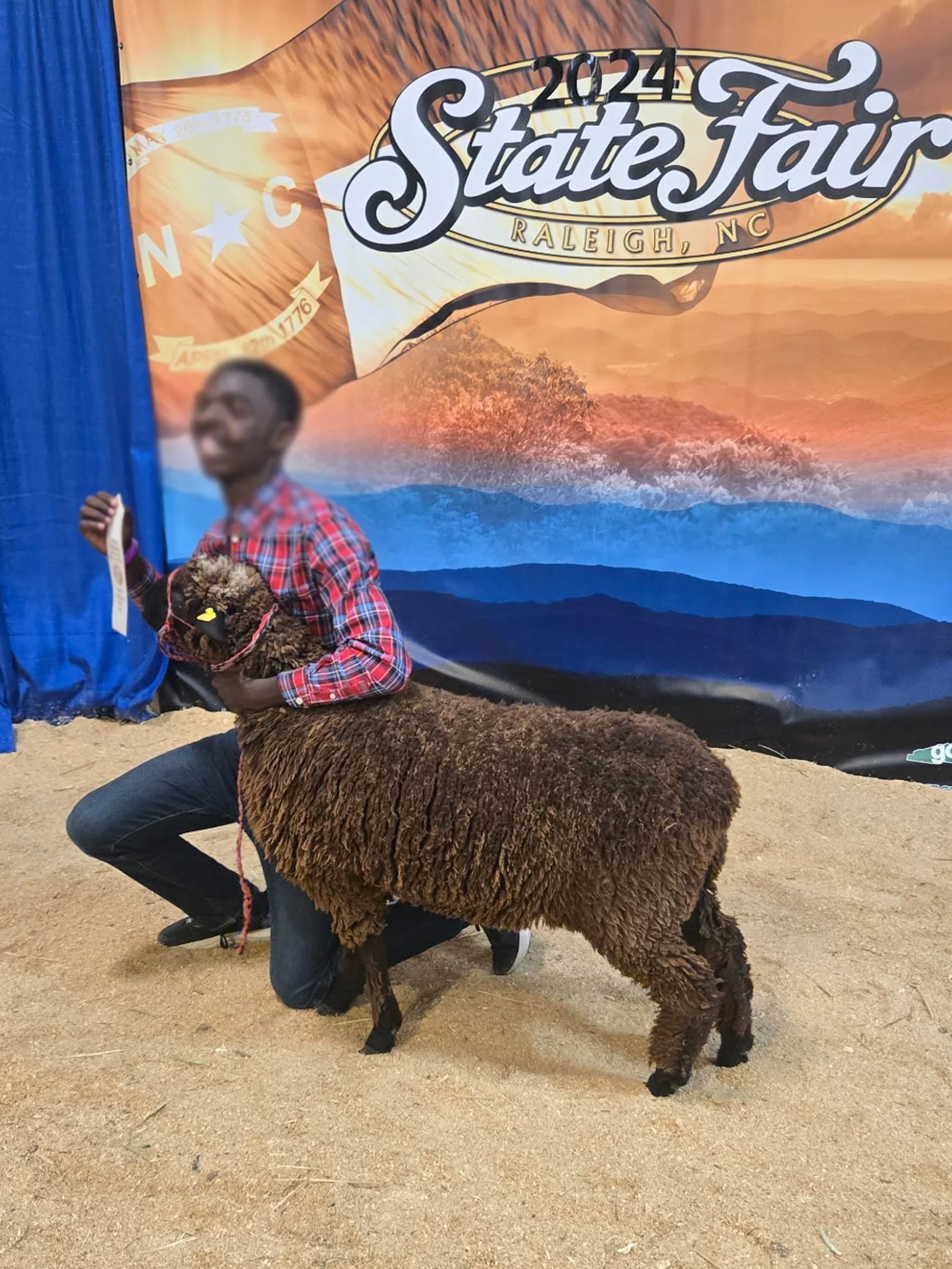 Catch Our Sheep at NC State Fair