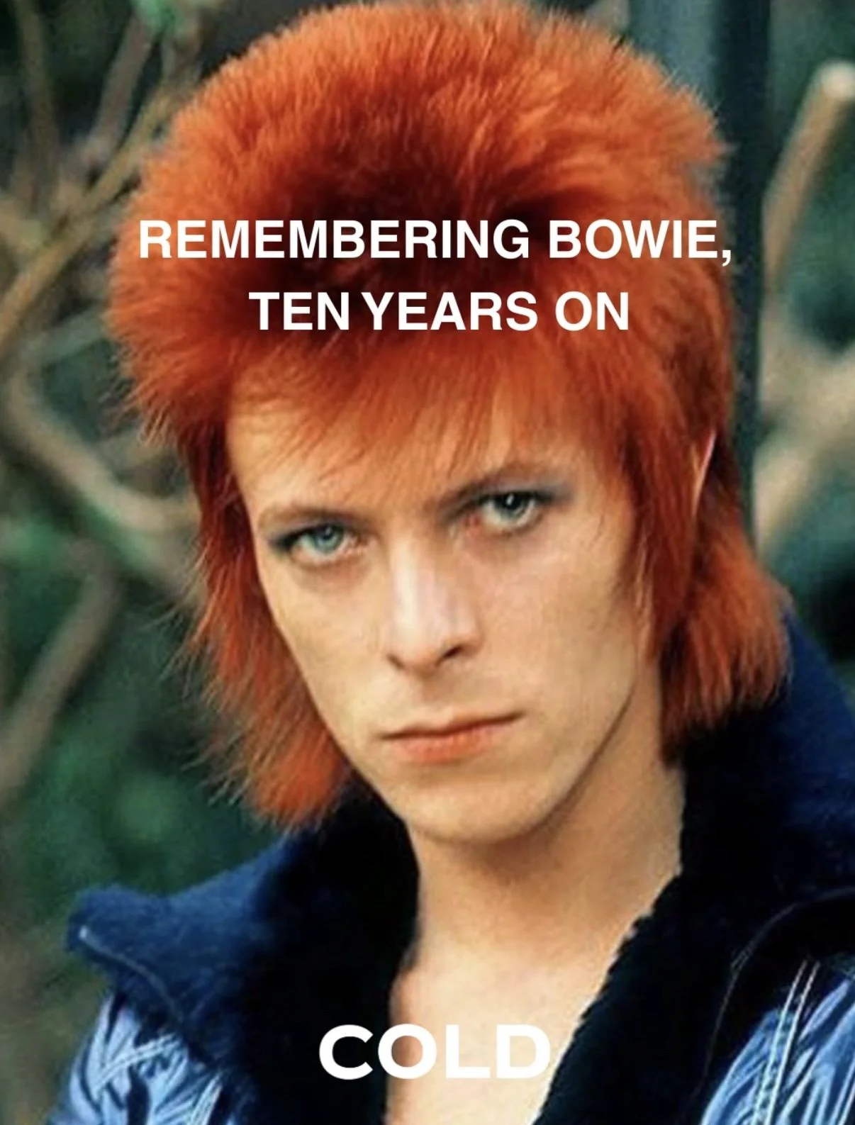 Remembering Bowie, Ten Years On