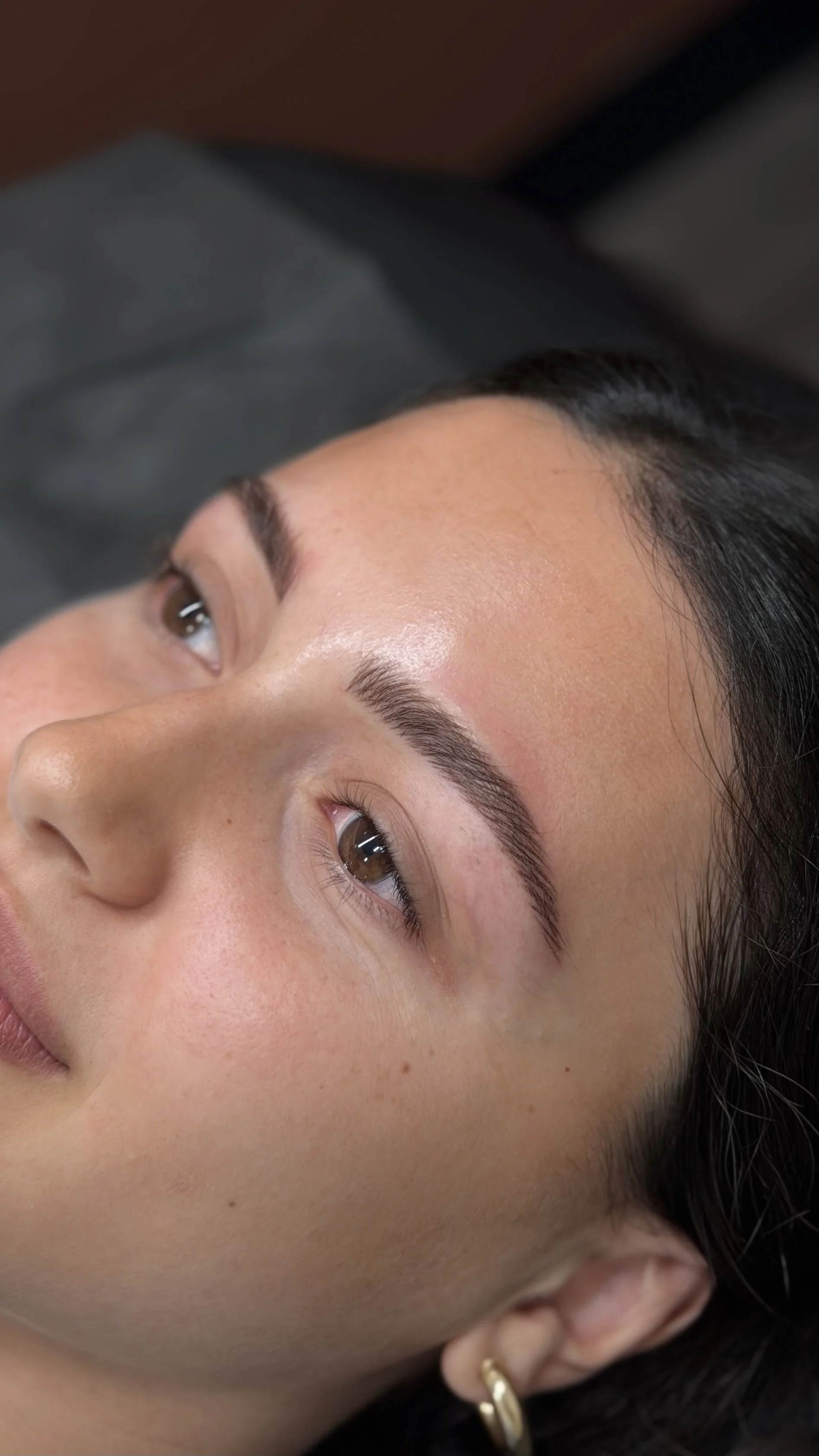 nanobrowsmakeuppainter1.jpg