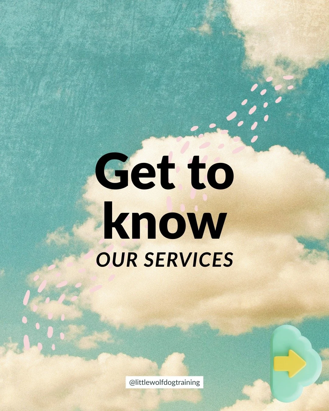 Interested in working together in 2026?  Learn more about what Little Wolf can do for you.  #littlewolfdogtraining #jerseycity #nyc #dogtraining