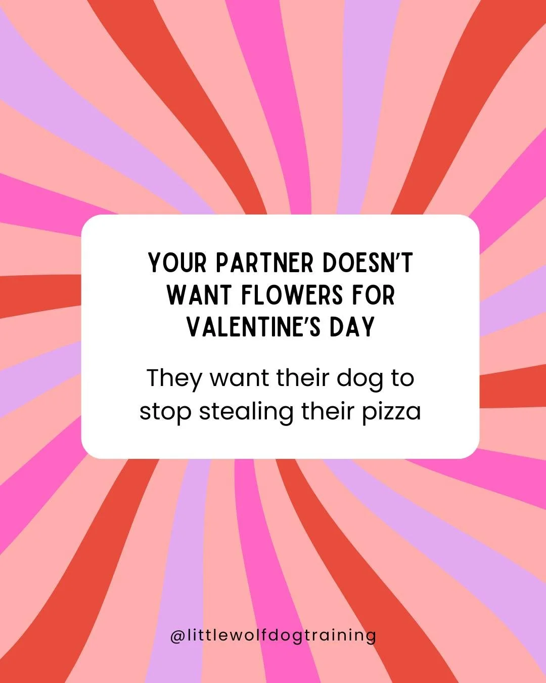 This Valentine's Day, give the gift of behavior modification!  Click the link in our bio to schedule a free consult and give your lover what they *really* want - a better relationship with their dog.  #littlewolfdogtraining #jerseycity #hoboken #nyc 