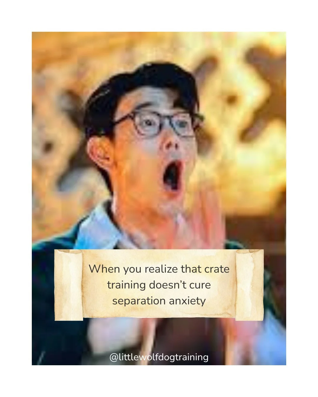 This is so niche.  Anyway, if you can't leave the house (and you love Traitors), let's talk.  #littlewolfdogtraining #jerseycity #hoboken #nyc #separationanxiety