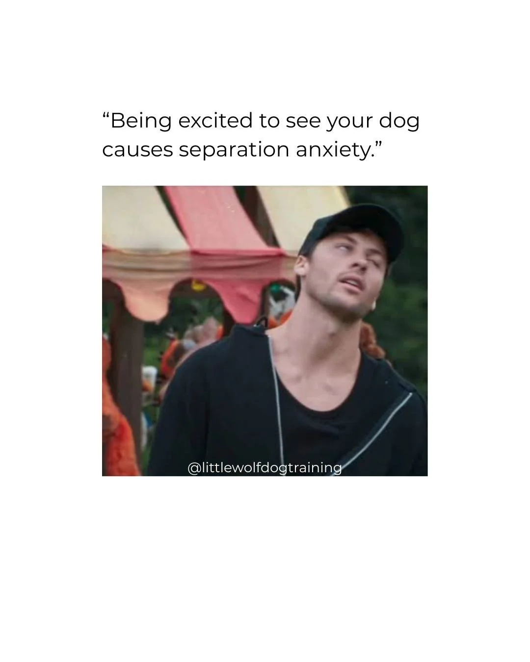 The internet is noisy with misinformation about separation anxiety.  Which of these myths did you believe was true?  #littlewolfdogtraining #separationanxietytraining #jerseycity #hoboken #nyc