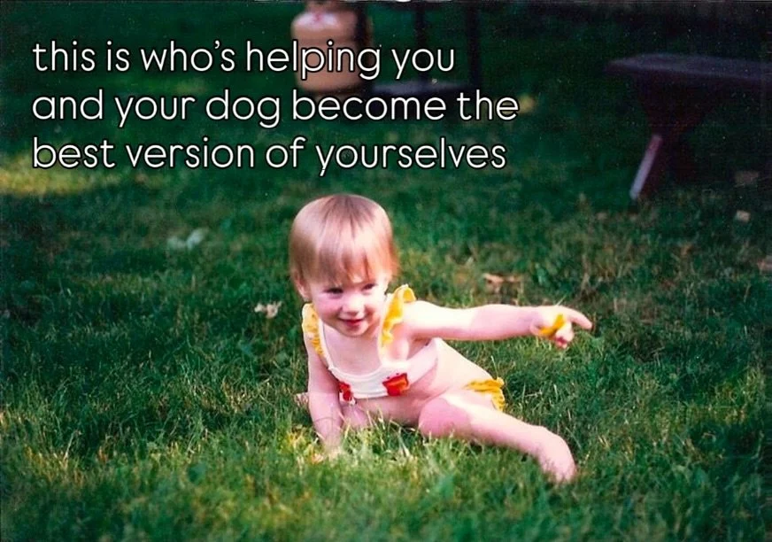 Chief Chaos Gremlin reporting for duty.  #littlewolfdogtraining #jerseycitydogtrainer #hobokendogtrainer #nycdogtrainer