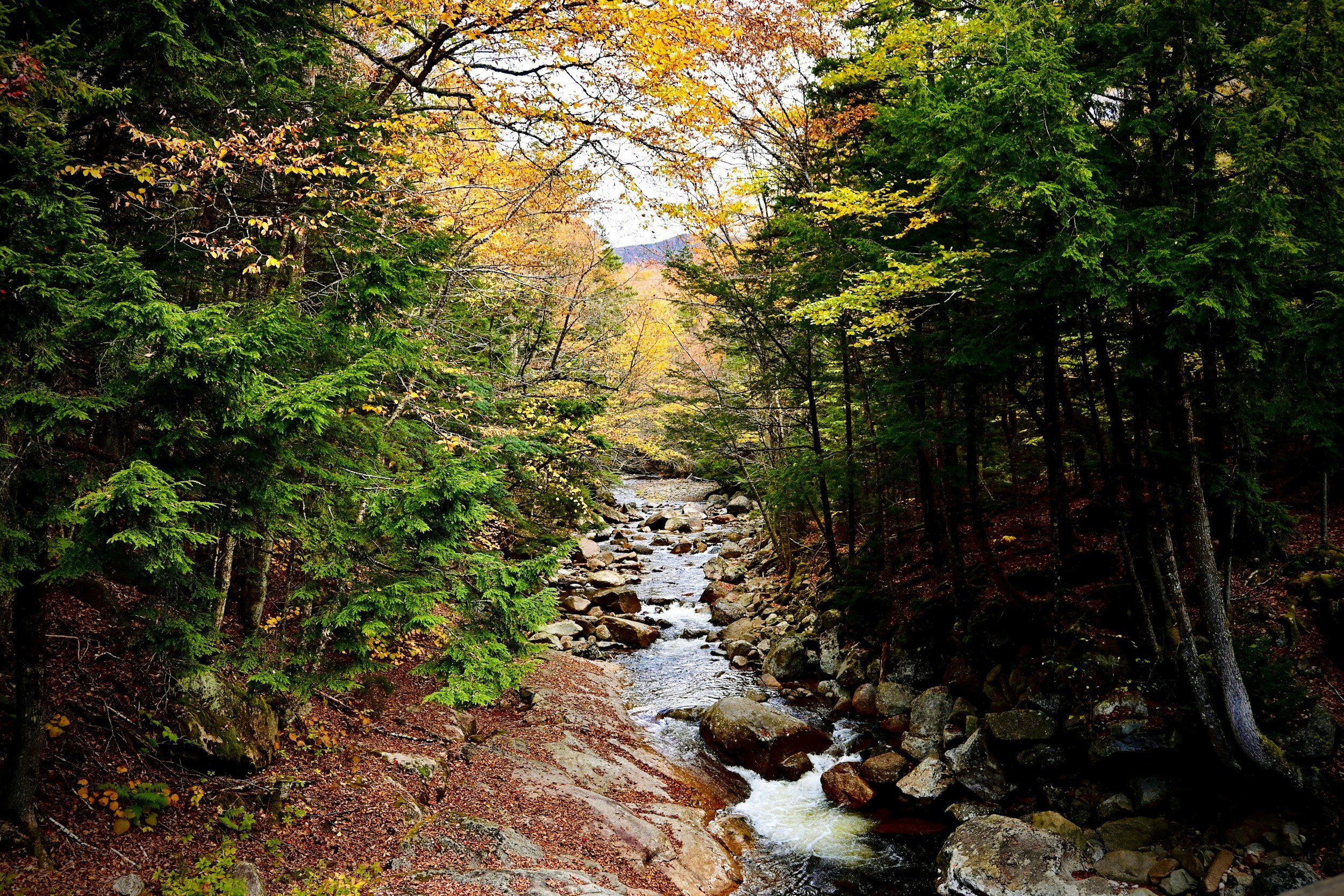 A mountain stream in New England flowing through a forest with green, yellow, and orange leaves during autumn.