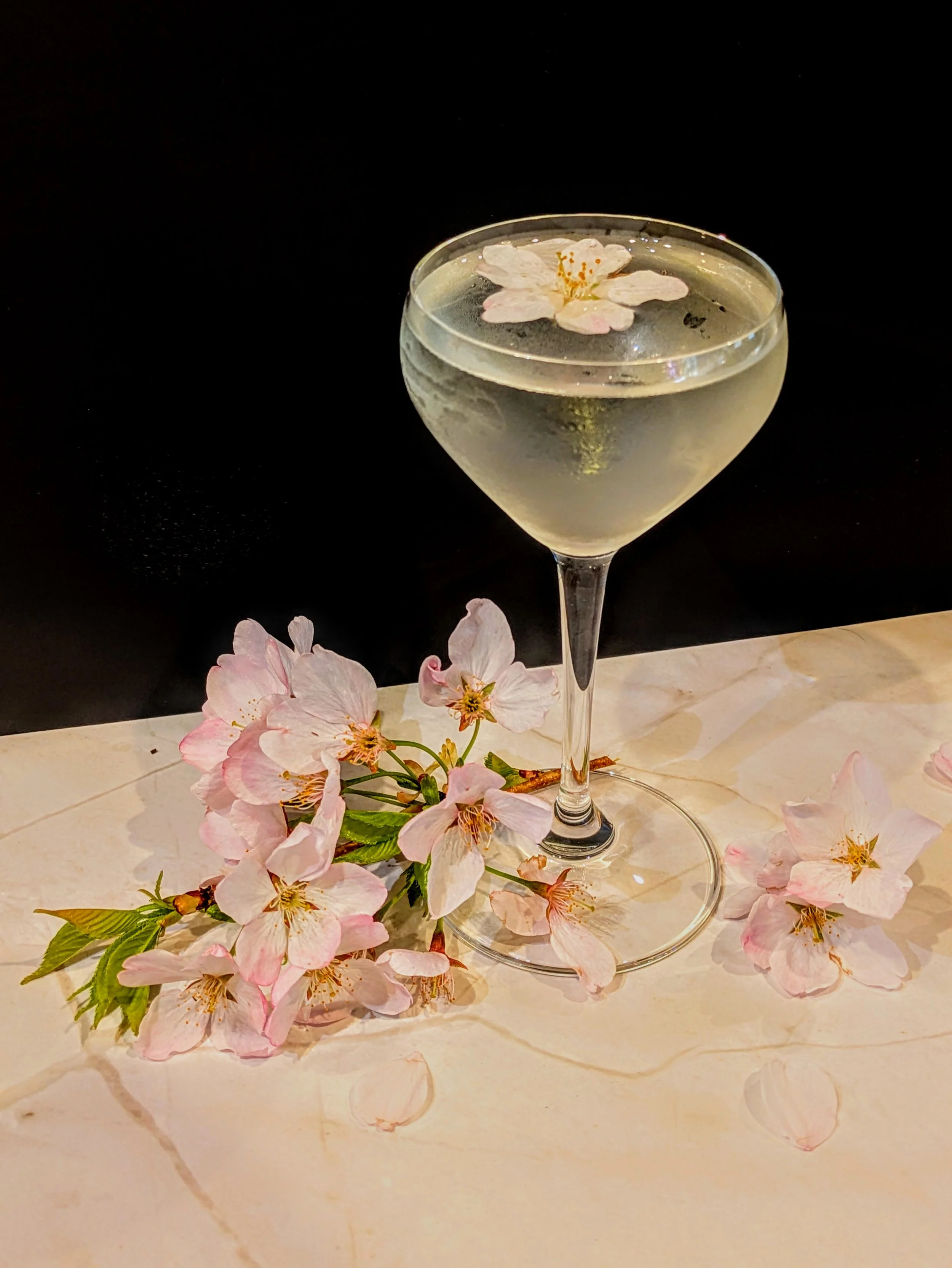 A glass of light-colored beverage with a cherry blossom flower floating on top, placed on a surface with cherry blossom flowers nearby, against a black background.