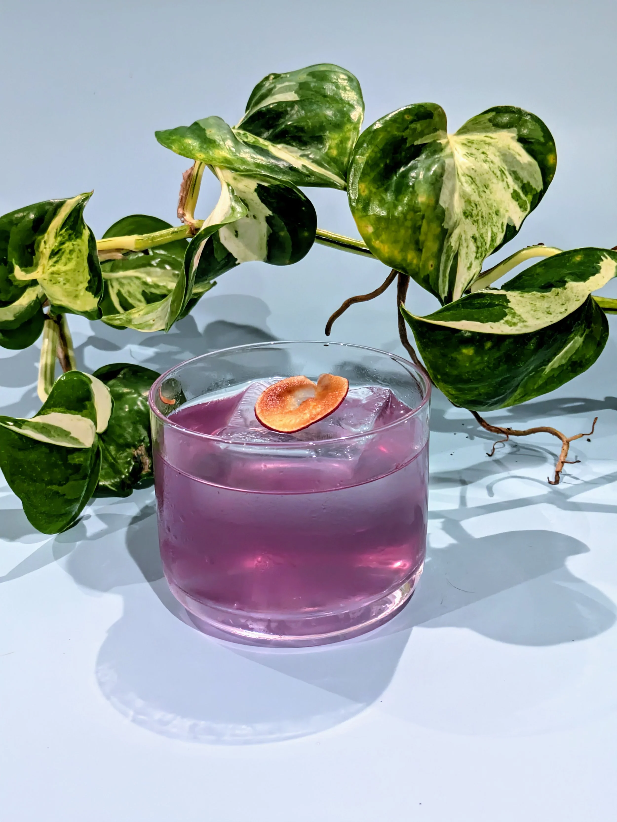A clear glass of purple cocktail with a flower petal garnish and a leafy green vine in the background, on a light blue surface.