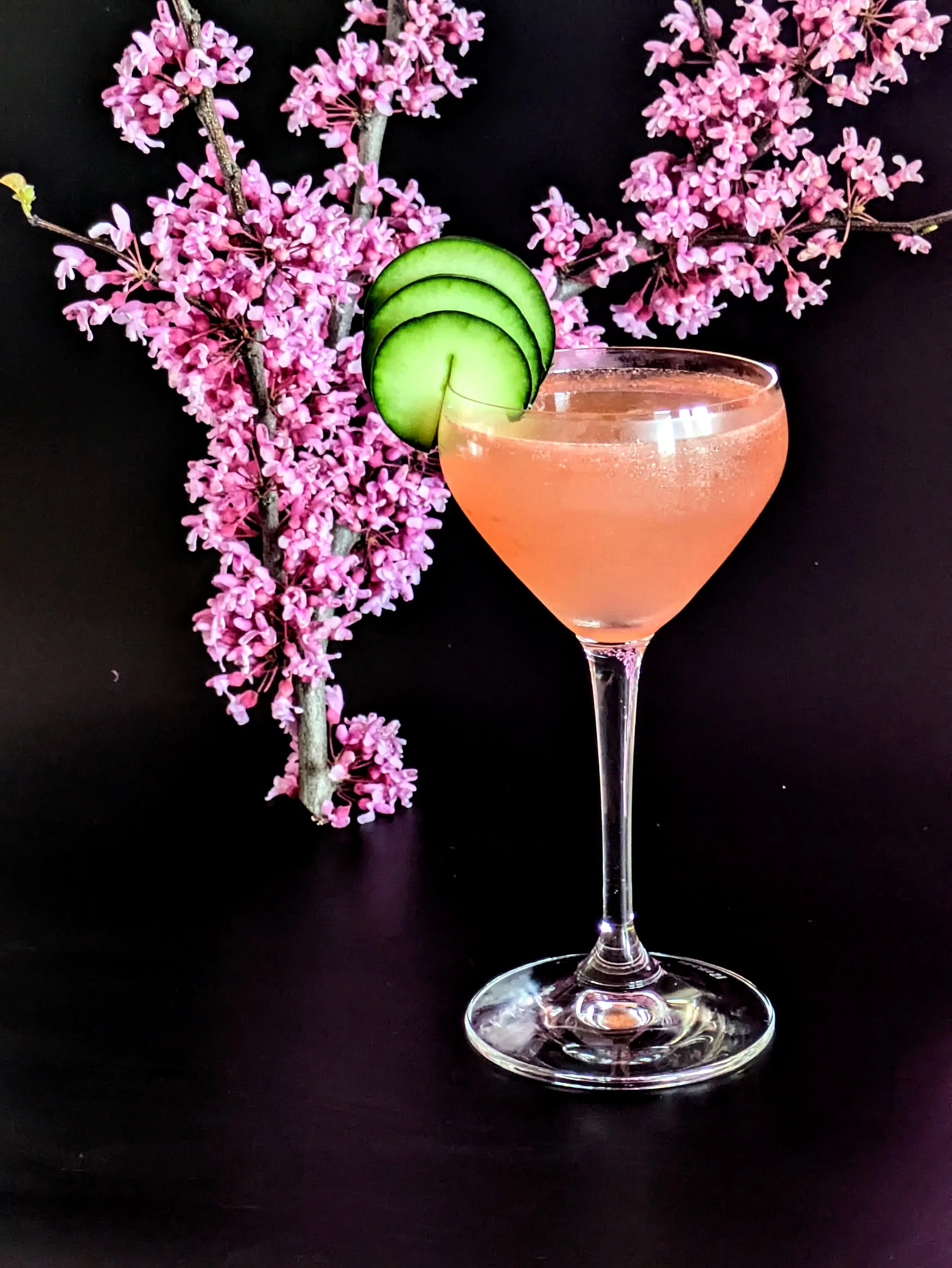 Pink cocktail with cucumber slices on the rim, placed against a backdrop of pink blossom branches on a black surface.
