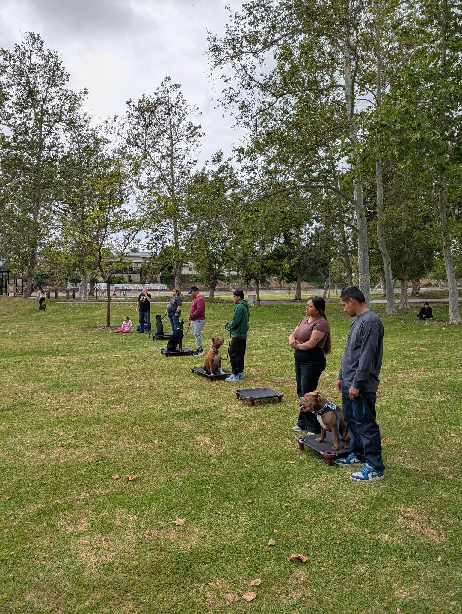 1200648376148550073 2.JPG