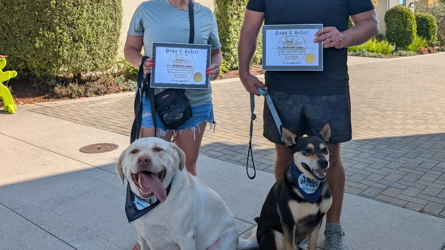 Two people holding certificates and posing outdoors with two dogs, one yellow Labrador Retriever and one black and tan Shiba Inu, both wearing bandanas. The setting appears to be a sunny day in a landscaped area with bushes and pathway.