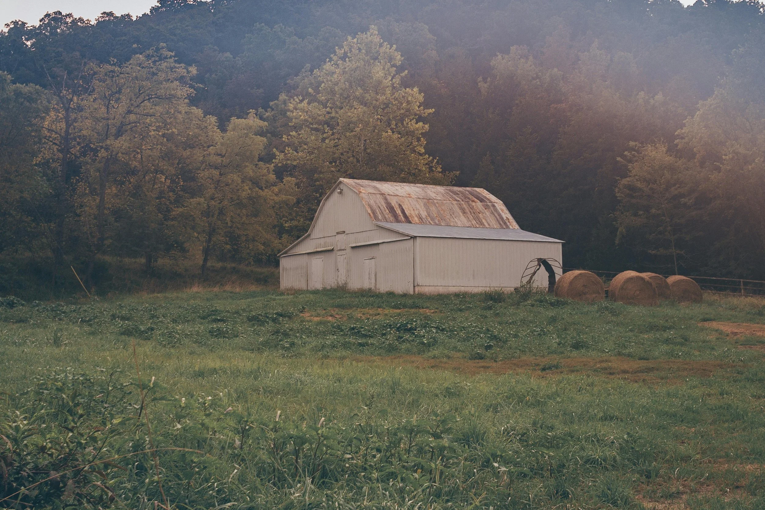 pexels-joshsorenson-995308.jpg