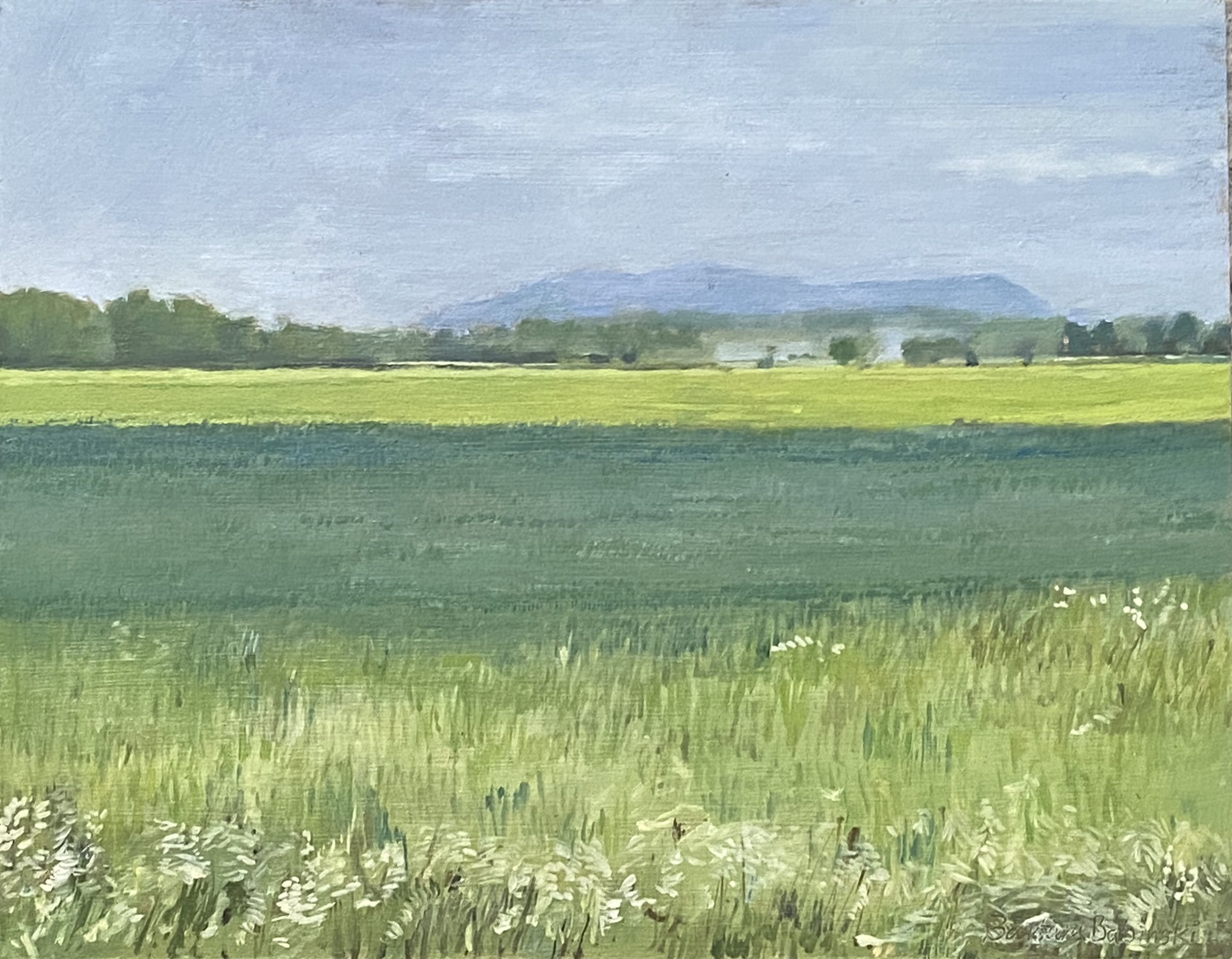 Ste Angèle de Monnoir, Fields in June
7in x 9in oil on board