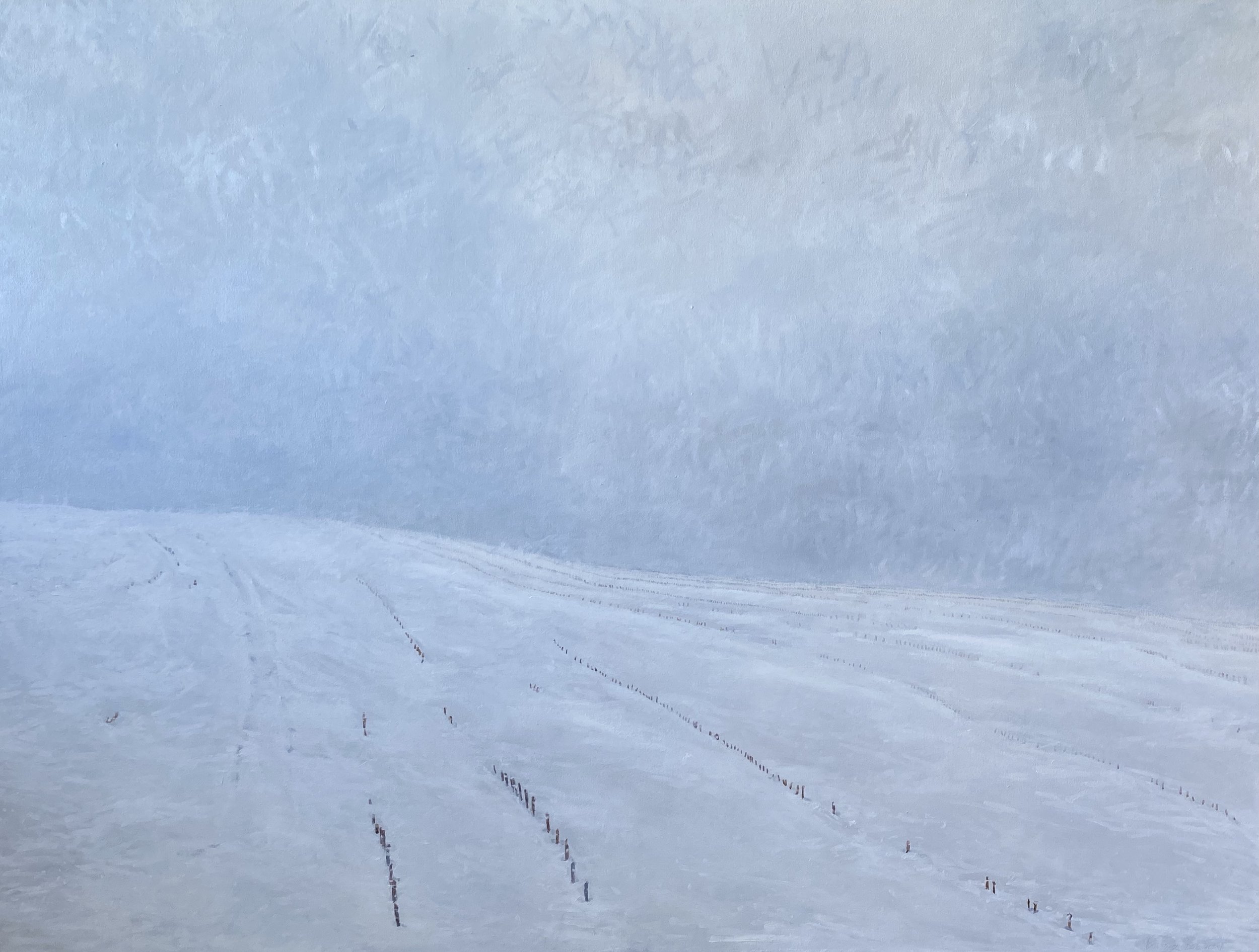 Snowstorm in the Fields
36in x 48in oil on canvas