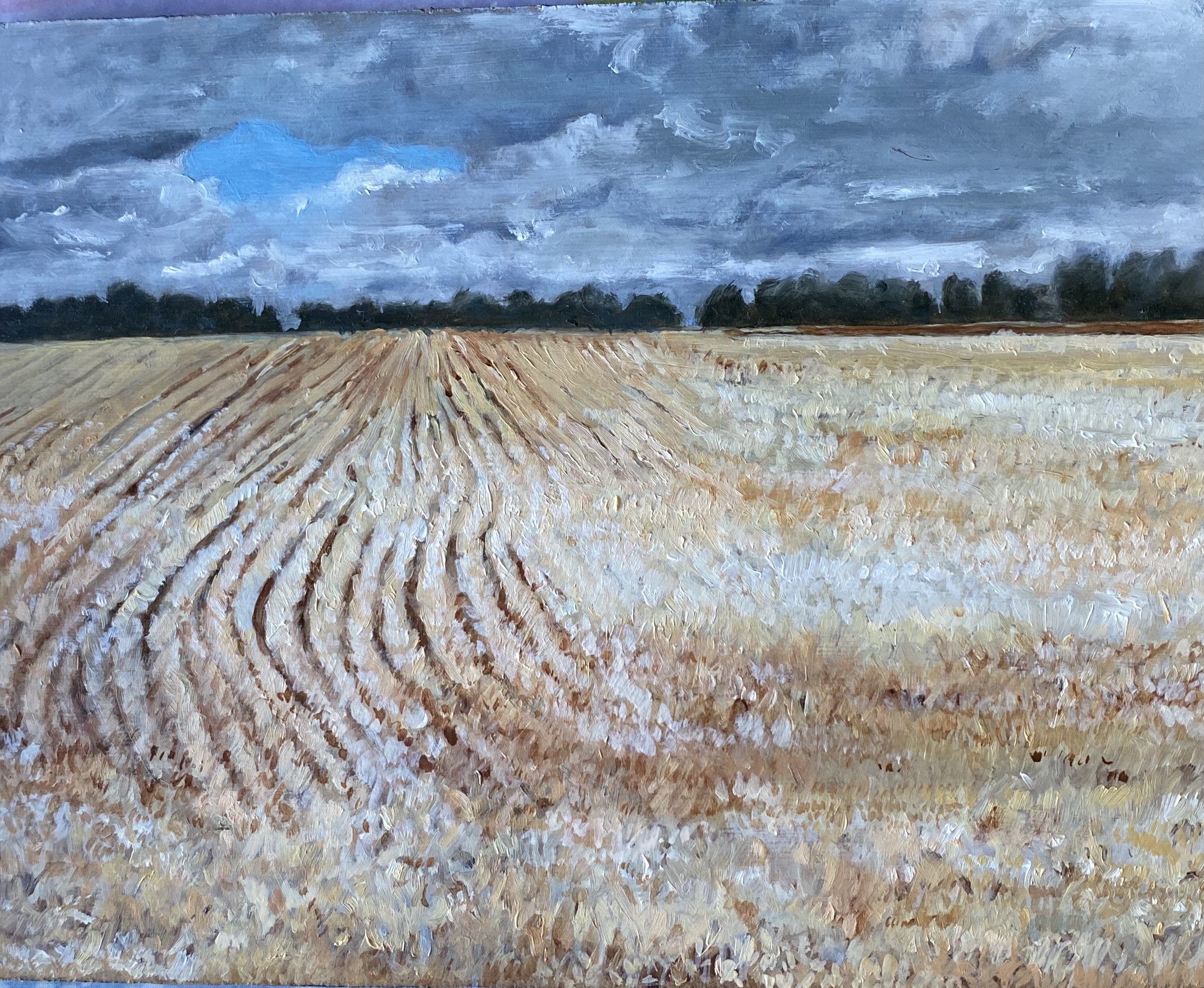 Corn Field in September
7in x 9in oil on panel
